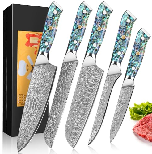 Home Safety 5STK Damastmesser Set mit 12.4-20cm Klinge aus 67 Lagen VG-10 Damaststahl Küchenmesser Set Damast Fleischmesser, Abalone-Muschel Griff, Geschenkbox