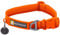 Ruffwear Front Range-Halsband, Hundehalsband mit V-Ring, längenverstellbares Haustier-Hundehalsband, bequemer weicher Stoff, Haustierhalsband mit Hundeleinen-Befestigungsring, Blaze Orange