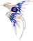 Crystal Phoenix Vogel Brosche Bunte Vogel Brosche Strass Tier Brosche Mode Schmuck Zubehör Geschenk