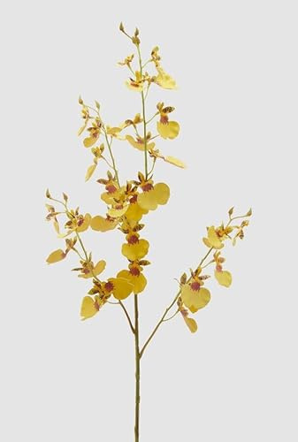EDG Enzo De Gasperi Enzo De Gasperi Orchidee Oncidium Zweig x4 künstlich H 80 cm gelb