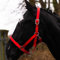 Pferdelinis Halfter für Warmblut, Vollblut, Kaltblut, Pony – Stallhalfter, Weidehalfter, 2-Fach verstellbare Dornschnallen, sicher & reißfest (Rot, Vollblut (Cob))