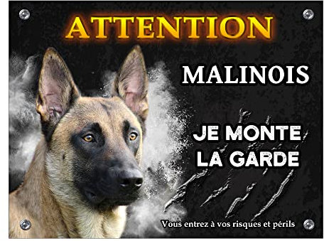 Plaque Malinois je monte la garde panneaux en aluminium attention chien pancarte berger belge