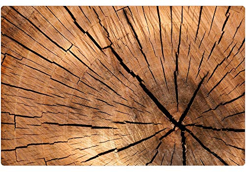 Matches21 Lot de 12 Sous Assiettes de Table Napperon Rectangulaire Aspect Bois Motif Disque de BoisDisque d'ArbreTronc d'Arbre Lavable 43,5 x 28,5 cm