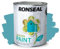 ARUUJ - Garden Paint, Fence Paints, Weather Resistant Outdoor Matt Paints, Water Based Paint For Sheds, Metal, Terracotta, Easy to Apply, Long-Lasting Colour & Protection (Summer Sky, 750ML)