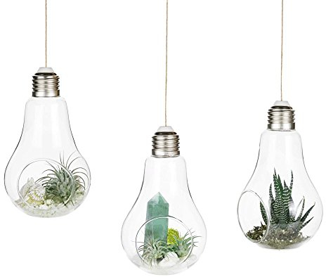 3 x Glühbirnenförmige Hängepflanzen, Terrarium, Glasvase, Sukkulenten, Hängebehälter, Terrarium.