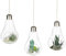 3 x Glühbirnenförmige Hängepflanzen, Terrarium, Glasvase, Sukkulenten, Hängebehälter, Terrarium.