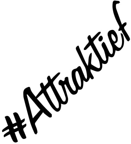 Autoaufkleber Attraktief Tuning Sticker Folien Beklebung Schnieke Aufkleber Schmuckstück Limited Edition Car Performance (Matt Weiß)