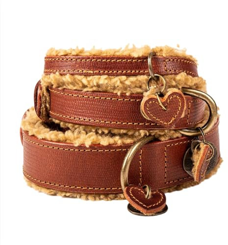 Dog with a Mission - Hundehalsband S | Braunes Leder, Teddy | Einfach und modisch | Ideal für mittelgroße Hunde | Handgemacht | Hübsch, Boho, Ethno, Urban, Hippie, Simple | Luxe | 2,5 cm Breit