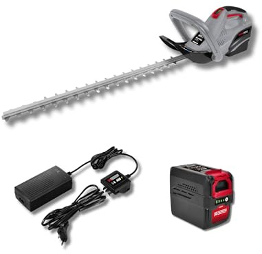 Taille-Haies sur Batterie 40V - Lame 600 mm - Batterie 4Ah et Chargeur Inclus