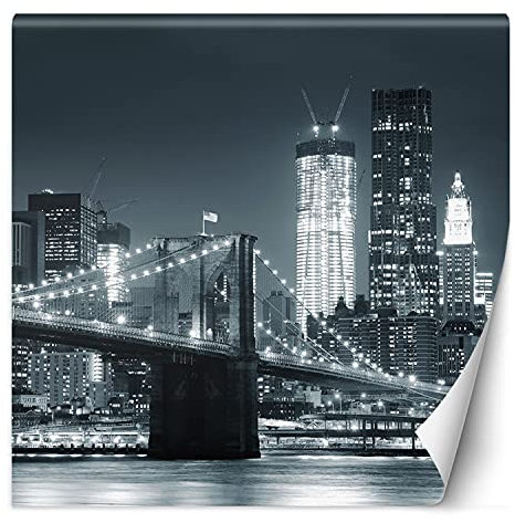 Feeby Vlies Fototapete Brooklyn Bridge Bei Nacht 100x100 cm schwarz-weiß Tapeten Wandekoration Wohnzimmer Schlafzimmer Büro Flur Manhattan New York City