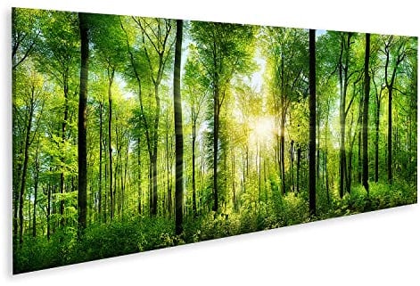 islandburner Tableau sur toile Forêt pittoresque Arbres à feuilles caduques verts Cadre Affiche Poster Murale Tableaux