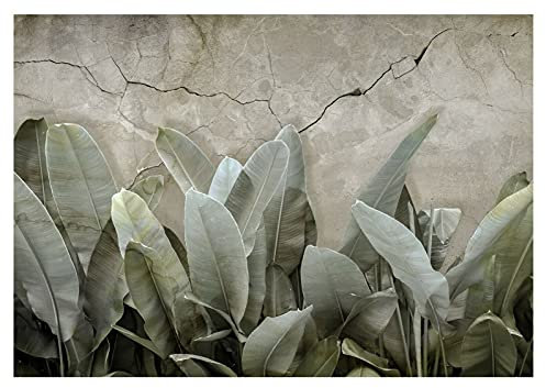 Carta Da Parati Fotografica Foglie Banano Verde Calcestruzzo Tropicali - Include Colla - Moderna Design Carta per Pareti Soggiorno Camera Da Letto Fotomurali In Tessuto Non Tessuto TNT (104x70 cm)