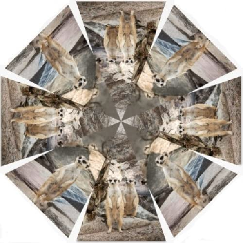 Cornelissen Kinderschirm mit Erdmännchen, Automatikschirm, Stockschirm, Kinderschirme Tiere