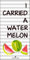 TOM TAILOR 0110375 Strand- und Liegetuch Velours Water MELON 1x 85x160 cm Silver