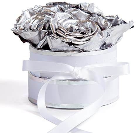 Infinity Rosen Box weiß rund - 4 echte Rose silberfarben haltbar 3 Jahre - ewige Rose die eine Ewigkeit blüht für 25 Jahre Jubiläum Geschenke für Mama zur Silberhochzeit (Small, Silber)