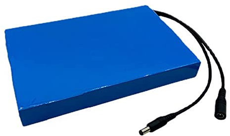 FREEDOH DC12V 30AH Li-ion Rechargeable Battery Portable Lithium Polymer Battery Pack with 2A Charger and DC5.5 * 2.1 Plug