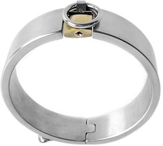 Metall Bondage Halsband O-Ring, Edelstahl SM Halsbänder Halsfessel mit Schloss und Schlüssel, Sklaven Folter Fetisch Kragen Restraint Spiel für Paare,Silber,Männer