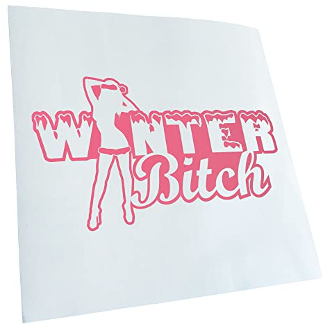 Kiwistar - Autoaufkleber - Hellrosa - 60x34cm Winter B Design 2 - Heckscheibe Auto Aufkleber wetterfest für Kfz LKW Mofa Truck - Sticker außen selbstklebend Tuning Zubehör für Fenster Fahrzeug Scheibe