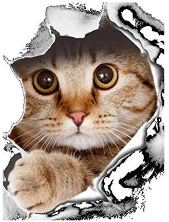 Ogquaton Autocollant décoratif amusant pour abattant de WC - Motif chat - Décoration murale - Décoration de salle de bain - Décoration d'intérieur - Chat créatif et utile