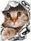 Ogquaton Autocollant décoratif amusant pour abattant de WC - Motif chat - Décoration murale - Décoration de salle de bain - Décoration d'intérieur - Chat créatif et utile