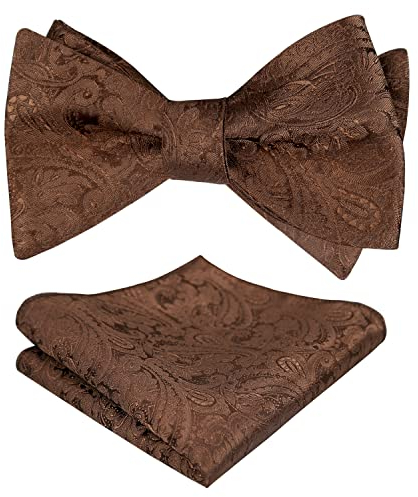 Alizeal Herren Retro Paisley Selbst Fliege und Taschentuch Set, Braun