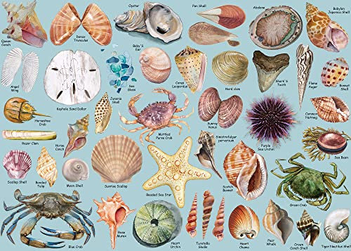Sea Shells Puzzles for Adults 1000 Pieces, Beach Puzzle Featuring 41 Colorful Seashells, Ocean Scenes Jigsaw Puzzles Includes Sea Glass Crab
