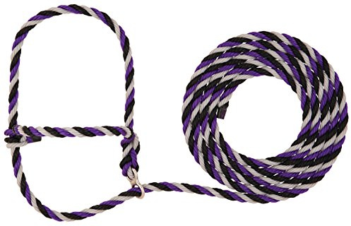 Weaver Leather Unisex-Erwachsene Weaver Leder Vieh Stierwalt Breaking Halter, lila, Violett/Schwarz/Grau, 8 1/2'