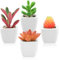 DuHouse Mini piante grasse finte, piccole piante grasse artificiali, in vaso di ceramica, per stanza, cucina, ufficio, scrivania, mensola, set di 4 (vasi in ceramica verde e rosso, bianco)