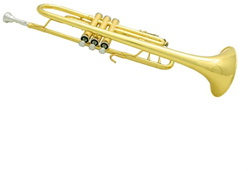 KERREY Hochwertiges B-Trompeteninstrument Goldene Einsteiger-B-Standardtrompete Mit Schönem Klang Standard Trompete
