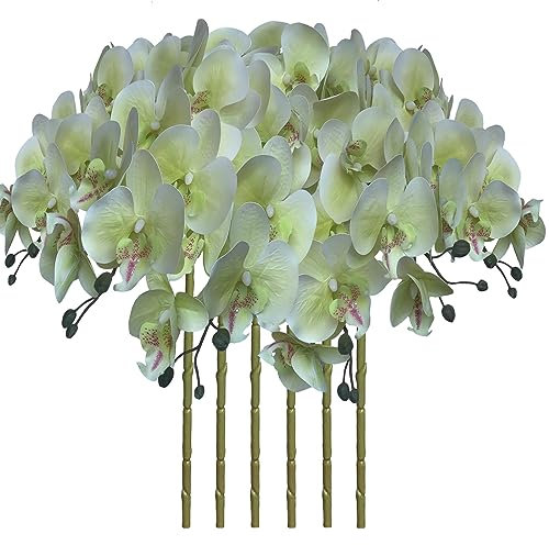 FagusHome 32 Inch Artificial Phalaenopsis Flowers 6 Pcs Artificial Orchid Flowers Stem Plants for Home Décor (Light Green)