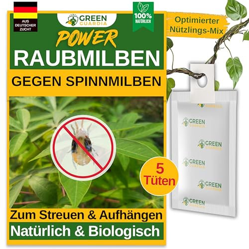 GREEN GUARDIA Power Raubmilben gegen Spinnmilben – 5 Tüten - Biologisches Mittel zur effektiven Spinnmilben Bekämpfung für Zimmer- & Zierpflanzen sowie Canna. – chemiefreie Mittel