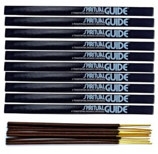 Encens Spiritual Guide. Lot de 80 bâtons Marque Padmini (10 étuis)