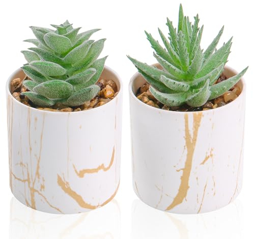 Der Rose Juego de 2 Plantas suculentas Artificiales Mini Plantas suculentas Falsas para el hogar, Oficina, Accesorios de Escritorio para Mujer