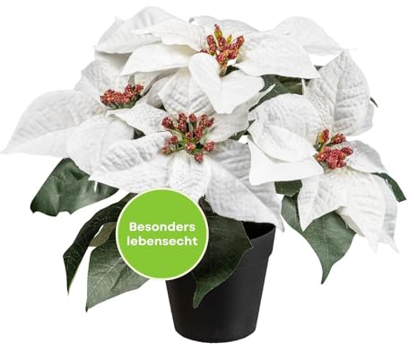 CREATIV green künstlicher Weihnachtsstern im Topf 26cm in weiß I Weihnachtsstern im Topf I Kunstblumen Weihnachten mit 5 realitätsnahen Blüten I künstliche Weihnachtssterne ideal als Weihnachtsdeko