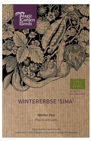 Wintererbse 'Sima' (Pisum sativum) ca. 50 Biosamen Rarietät Winteranbau