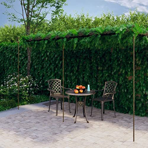 Pergola da giardino in ferro anticato, 6 x 3 x 2,5 m, colore: Marrone