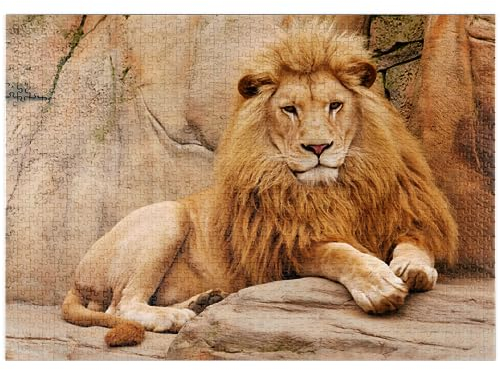 MyPuzzle EIN Löwe entspannt auf einem Stein - Premium 1000 Teile Puzzle - MyPuzzle Sonderkollektion von Puzzle Galaxy
