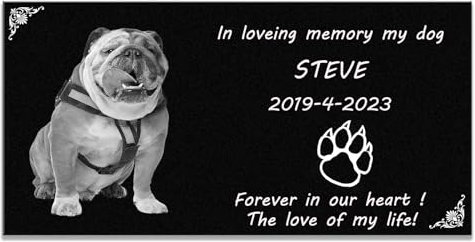 Souvenez-Vous Toujours : Plaque commémorative en Granit Noir Durable pour Les Amoureux des Chiens et des Chats, Pierre tombale pour Animaux de Compagnie (30x15 cm)