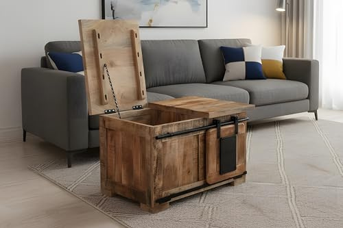 SAM Truhe Libro II, Mangoholz massiv + Rough, Couchtisch mit Holzschiebetür, 1 Klappe & 3 offenen Fächern, Türelemente & Reling aus Eisen, 76 x 51 x 45 cm