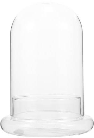 BESPORTBLE Tisch Terrarium Glasflasche für Mikrolandschaften Moospflanzenbehälter Transparent Glas mit Klarglas Displayglocke Ökologische Schreibtischdekoration