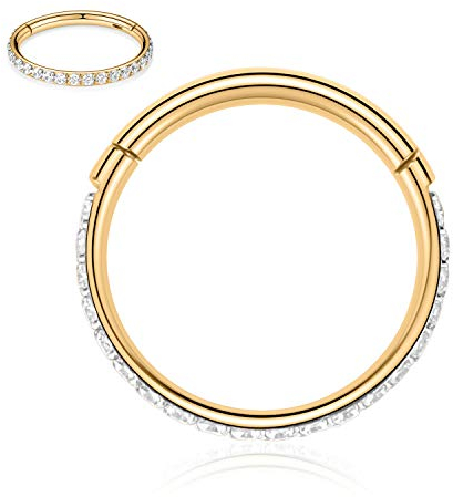 hengkaixuan 18G Septum Clicker Ring Daith Ohrringe Conch Schmuck Nahtloser Clicker Ring Chirurgenstahl Rook Tragus Conch Piercing Schmuck Kleiner Hoop Ohrring Nasenring Gold 14mm Klar CZ