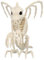 Boland 72422 Gargoyle Skeleton (24 cm)