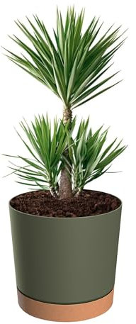 botle Pot de fleurs avec support - Rond - Grand pot de fleurs - Diamètre : 40 cm - Hauteur : 38 cm - Mat - 35 l - Vert - Support amovible - Surface mate - Décoration d'intérieur - Terrasse de jardin