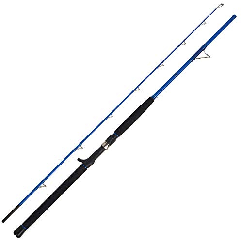 WFT Sea Dart 30lbs 50-320g 1,85m
