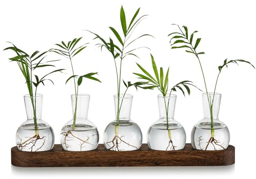 Glasseam EstacióN De PropagacióN De Plantas En Terrario, Florero De Vidrio para Bulbos con Bandeja De Madera, Floreros Modernos para Sala De Estar, DecoracióN De Oficina, Florero HidropóNico