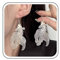 Allereya Boho Koi Fisch Ohrringe Silber Koi Ohrringe Karpfen Fisch Ohrringe Filigran Fisch Ohrringe Koi Karpfen Ohrringe Schmuck Für Frauen