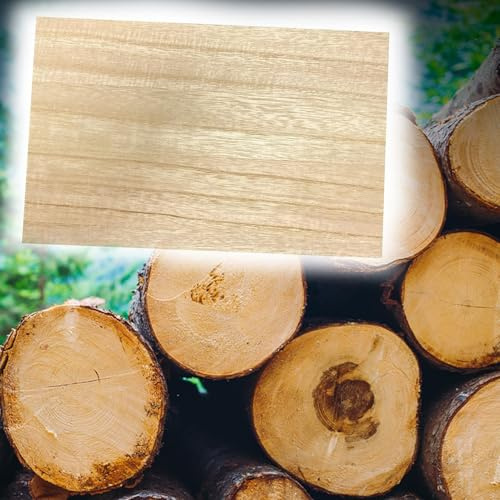 Holzbretter Zum Basteln Unlackierte Paulownia-Holzbrett Rechteckige Holzblöcke Holzplatten Blanko Dicke 1,2/1,5/1,8 cm für DIY-Projekte/Tischplatte/Regalbrett/Bücherregal/Bastler und Heimwerker
