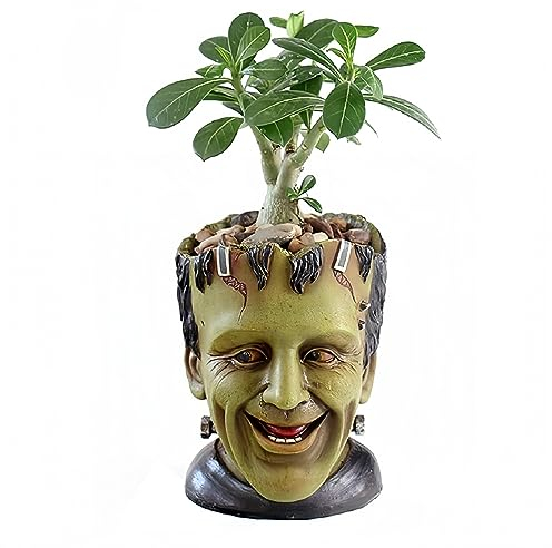 Youfui Funny Planter Head Planter with Drainage Hole Resin Plant Pot Pencil Holder Desk Storage (Frankstein)