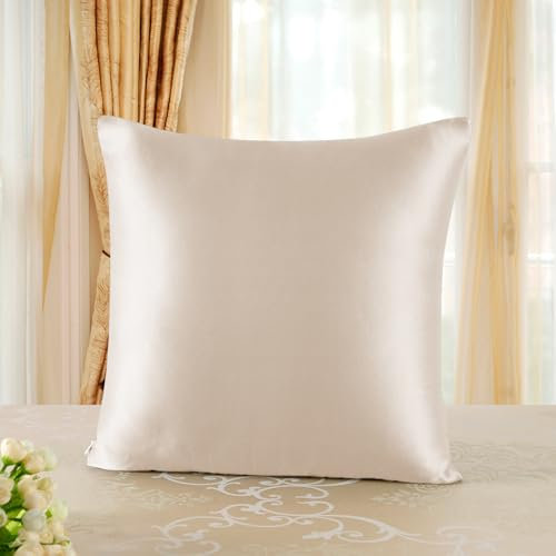 townssilk Kissenbezug, beidseitig aus 100 % reiner 19-Momme-Maulbeerseide, 65 x 65 cm, für Haut und Haar, mit verstecktem Reißverschluss, Fadenzahl 600, Taupe