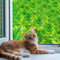 QILUCKY Nylon Katzenschutznetz Katzennetz für Balkon Transparent Können Zuschneidbar ​und Bissfest Balkonnetze für Katzen ​zur Absicherung von Terrasse, Fenster und Türen (3x5m)